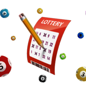 The Best Online Lottery Sites in NZ